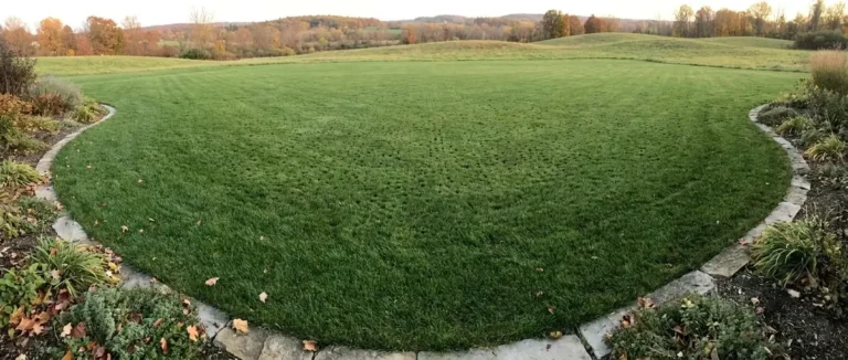Finished lawn with clean bed edges