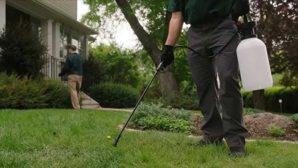 Crew member spot-treating weeds in a lawn with a backpack sprayer